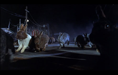 Night of the Lepus (1972) – Doyle's Space